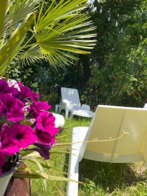 Villa Carmela RESIDENCE Piano Di Sorrento